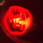 Mickey�s Halloween Party